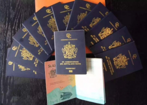 圣卢西亚护照申请流程介绍