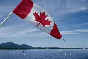 加拿大萨省商业移民流程有哪些？