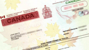 加拿大移民申请材料有哪些